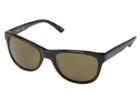 Dkny 0dy4139 (brown Solid) Fashion Sunglasses