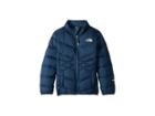 The North Face Kids Andes Down Jacket (little Kids/big Kids) (blue Wing Teal) Girl's Coat