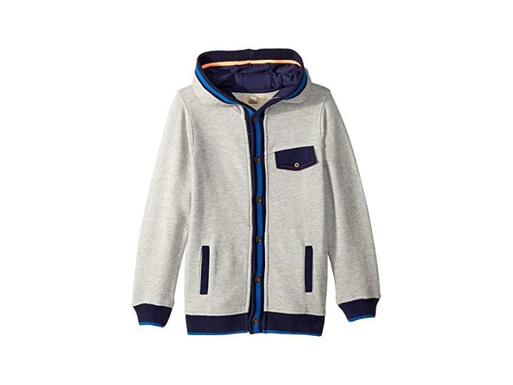 Peek Edward Hoodie (toddler/little Kids/big Kids) (grey) Boy's Sweatshirt