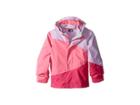 The North Face Kids Mountain View Triclimate(r) Jacket (toddler) (lupine (prior Season)) Girl's Coat