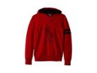 Polo Ralph Lauren Kids Big Pony Merino Wool Hoodie (big Kids) (park Avenue Red) Boy's Sweater