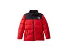 The North Face Kids Nuptse Down Jacket (little Kids/big Kids) (tnf Red) Boy's Coat