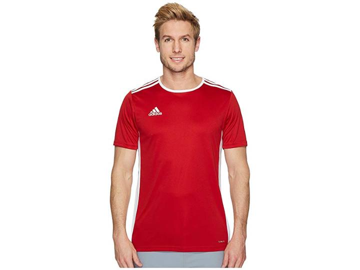 Adidas Entrada 18 Jersey (power Red/white) Men's Clothing