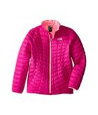 The North Face Kids Thermoballtm Full Zip Jacket (little Kids/big Kids) (luminous Pink (prior Season)) Girl's Coat