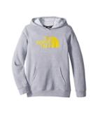The North Face Kids Logowear Pullover Hoodie (little Kids/big Kids) (tnf Light Grey Heather/canary Yellow) Boy's Sweatshirt