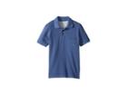 Quiksilver Kids Tori Pass Polo (big Kids) (bijou Blue) Boy's Short Sleeve Pullover