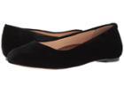 Walking Cradles Bronwyn (black Velvet) Women's Flat Shoes