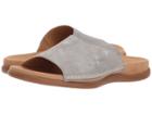 Gabor Gabor 83.705 (silver Caruso Metallic) Women's Sandals