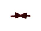 Etro Velvet Bow Tie (burgundy) Ties