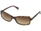 Diane Von Furstenberg Phoebe (brown Leaves) Fashion Sunglasses