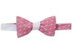 Vineyard Vines Kentucky Derby Boaters Panel Bow Tie (strawberry Blonde) Ties