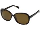 Cole Haan Ch7016 (dark Tortoise) Fashion Sunglasses