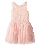 Nanette Lepore Kids Lace Dress With Tulle And Flowers (little Kids/big Kids) (peach) Girl's Dress