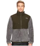 The North Face Novelty Denali Jacket (fusebox Grey Sherpa/rosin Green (prior Season)) Men's Jacket