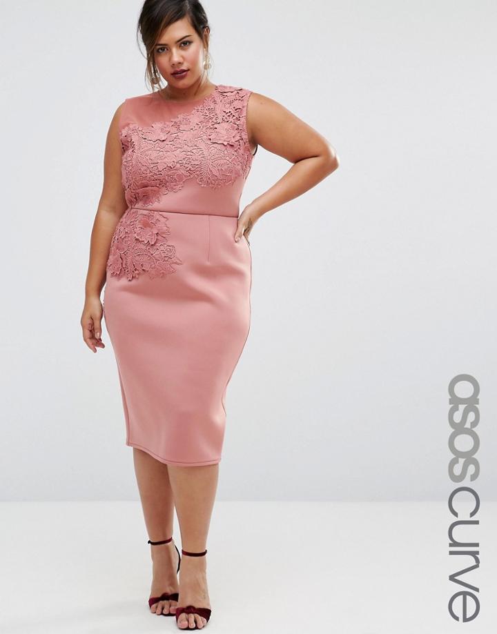 Asos Curve Salon Flower Embroidered Scuba Pencil Dress - Pink