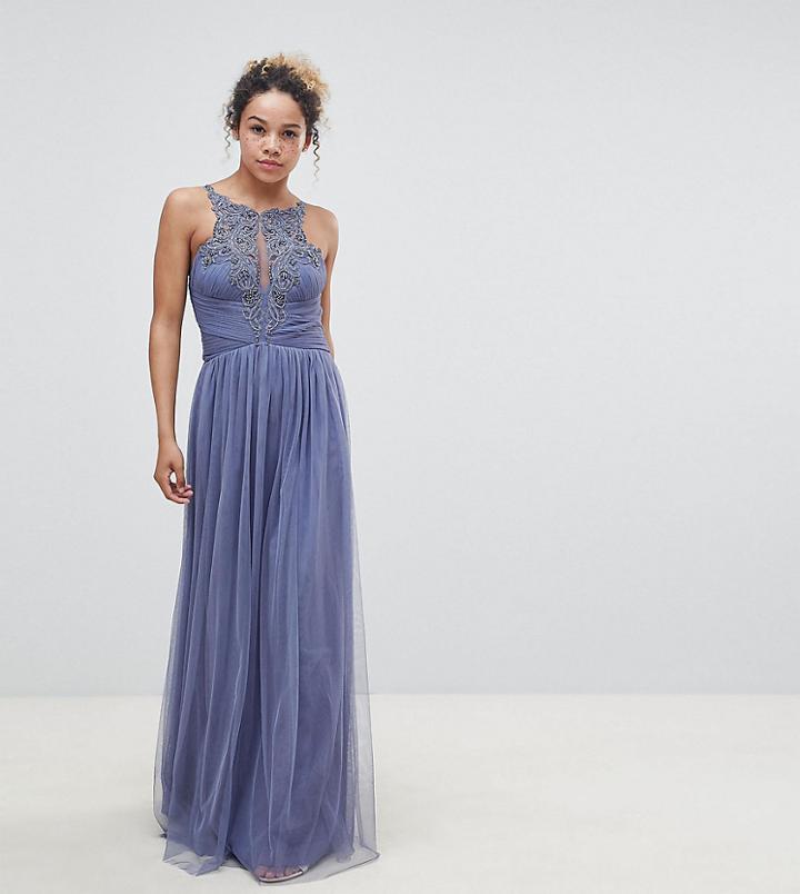 Little Mistress Petite Floral Applique Maxi Dress-blue