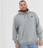 Puma Plus Essentials Hoodie With Small Logo In Gray - Gray