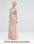 Frock And Frill Petite Premium Embellished Top Maxi Dress With Pleated Skirt - Beige