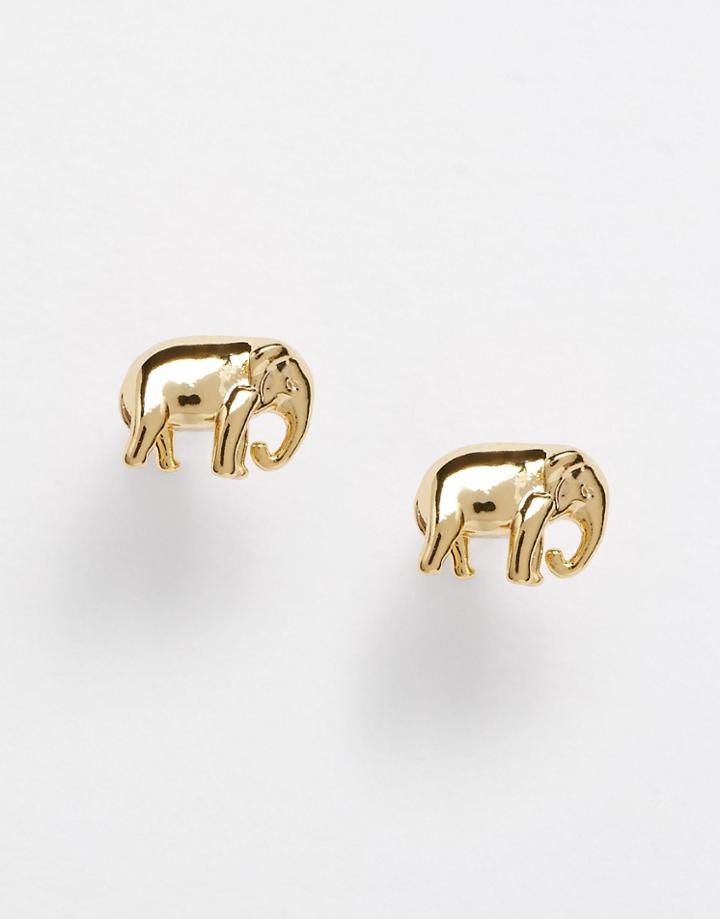 Orelia Tiny Elephant Stud Earrings - Gold