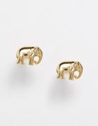 Orelia Tiny Elephant Stud Earrings - Gold