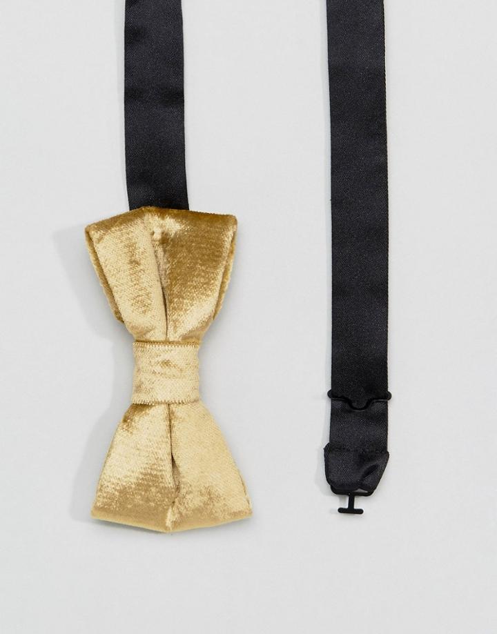 Noose & Monkey Velvet Bow Tie - Gold