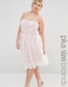 Junarose Violet Skater Dress With Lace Overlay - Misty Rose