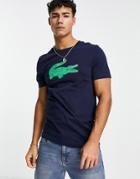 Lacoste T-shirt With Large Croc In Navy