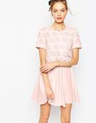 Asos Overlay Lace Dress With Scuba Skirt - Pink