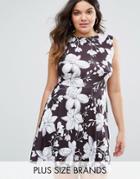 Club L Plus Skater Dress In Illustrated Floral Print - Black