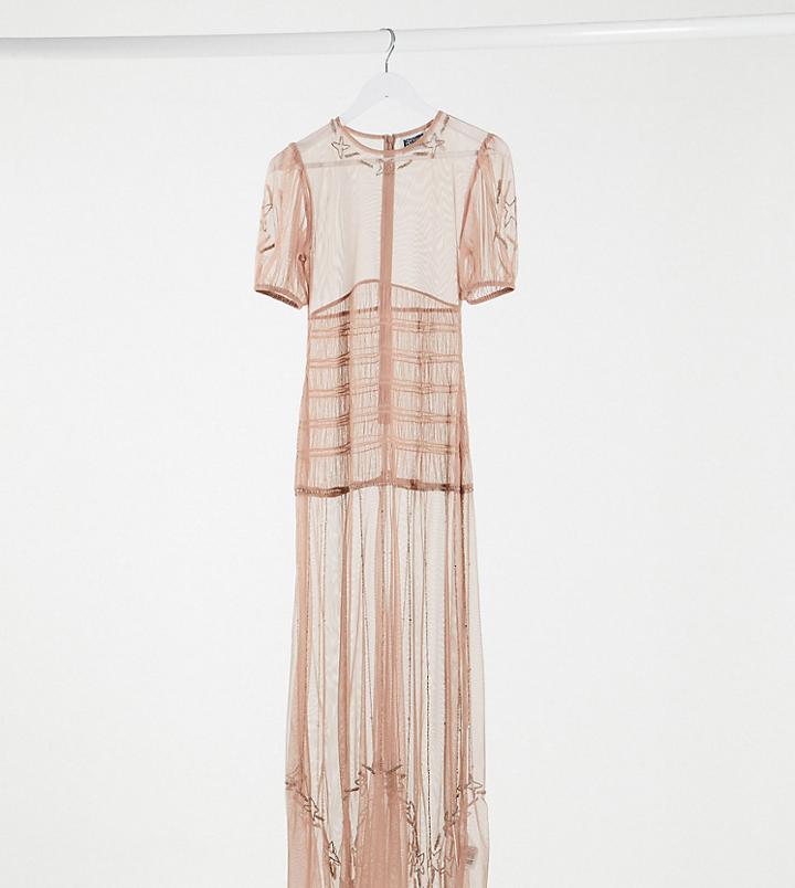Reclaimed Vintage Inspired Couture Sheer Maxi Dress With Embellishment-pink