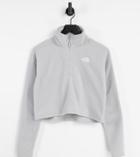 The North Face 100 Glacier 1/4 Zip Cropped Fleece In Gray Exclusive At Asos