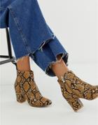 New Look Block Heel Boot In Snake Print - Brown