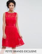 Little Mistress Petite Lace Skater Dress With Pleated Skirt - Red