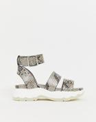 Asos Design For Real Chunky Sporty Flat Sandals In Snake - Multi