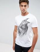 Solid T-shirt With Bird Print - White