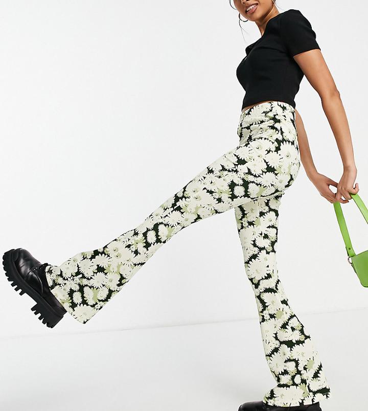 Topshop Petite Abstract Daisy Floral Crinkle Flare Pants In Multi