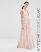 True Decadence Petite Premium Floral Lace Plunge Maxi Dress - Pink