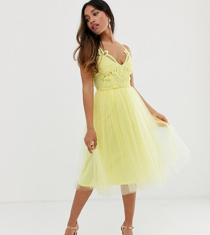 Asos Design Petite Premium Lace Top Tulle Cami Midi Dress-yellow