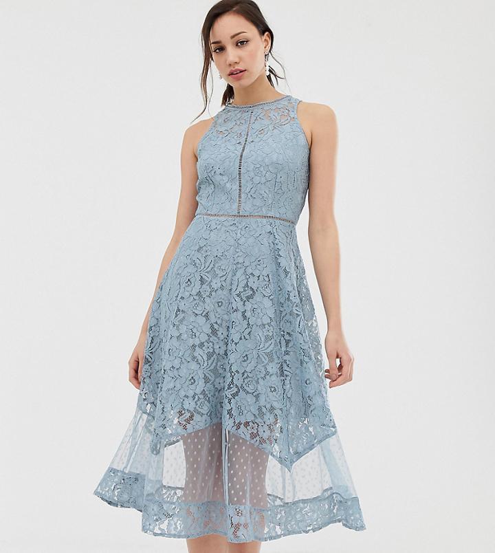 Little Mistress Tall All Over Dotty Lace Midi Prom Skater Dress In Blue