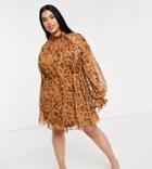 Asos Design Curve High Neck Leopard Printed Mini Dress In Jacquard Chiffon With Tie Detail-multi
