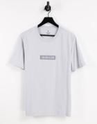 Calvin Klein Reflective Box Logo T-shirt In Antique Gray-grey