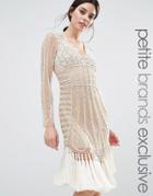 Maya Petite All Over Embellished Mesh Mini Dress With Heavy Tassel Hem