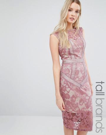 Little Mistress Tall All Over Cutwork Lace Pencil Dress - Pink