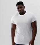Asos Design Plus T-shirt With Crew Neck And Roll Sleeve In White