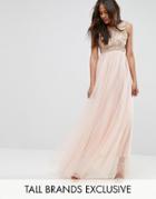True Decadence Tall Premium Metallic Applique Top Maxi Dress With Tulle Skirt - Pink