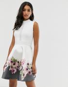 Ted Baker Janyis Skater Dress In Neopolitan Print - Multi