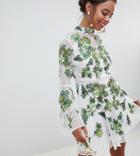 Asos Edition Petite Floral Embroidered And Embellished Mini Skater Dress - Multi