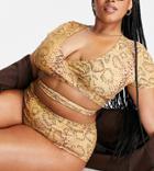 Missguided Plus Bikini Bottoms In Orange Snake Print