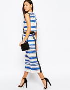Jovonna Zebra Pencil Skirt With Zip Front In Stripe - Blue