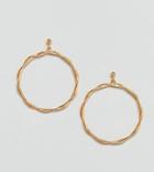 Asos Gold Plated Sterling Silver Plaited Hoop Earrings - Gold